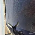 الفيصل العوازل