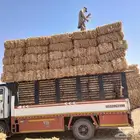 تيبن بور شد ميتر وزن تكيل سعر