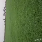تيل سي2000 صافي وطبيعي