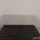 شبك نقل دجاج
