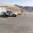 المدينة المنورة