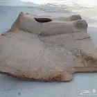 عازل حراره ارضي للجمس