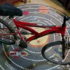 سكل