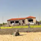 تركيب القرميد