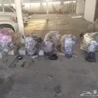 مكين6سلندر ومكين8سلندر ومكين هيلكس