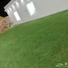 ثيل سي2000 صافي وطبيعي جراده قولي مزرعه الخارج