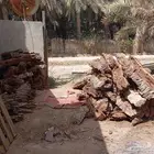 جدوع نخل