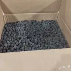 حمر جاوي ال1