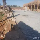مقاول اعمال التراث والحجر والشبوك الزراعيه