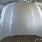 كبوت تورس