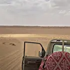 حنبل الشاص - جودة ممتازة - يوجد توصيل