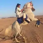 حصان فرنسي