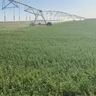 للبيع رشاش سبع ابراج مزروع برسيم