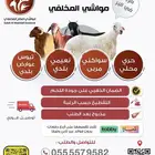 نعيمي فاخر للبيع