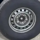 جنوط هلل