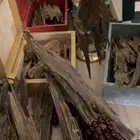 اجود وافخر انواع العود الهندي