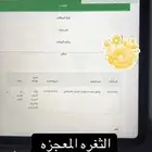ضمان المطور