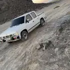 ددسن 97