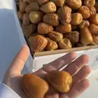 تمر القصيم