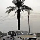 هايلكس