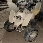 دباب تيواني