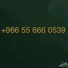 رقم مكرر ومميز