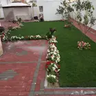 ثيل طبيعي سي 2000 و زرع طبيعي