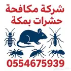 شركة مكافحة حشرات بمكة رش مبيدات للحشرات بمكة