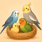 فندقة طيور مكة