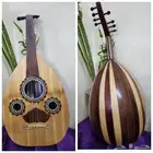 عود مصري للبيع