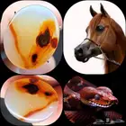 عقيق يماني نوادر