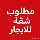مطلوب شقة للايجار حي البديعه قريبة من سوق الرياض الدولي