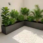 مهندس زراعي متخصص في تنسيق الحدائق وزراعة الأشجار والفلل