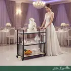 عربيات تقديم طعام