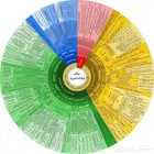 مدرس خصوصي تأسيس ومتابعة وقدرات لفظي