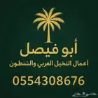 نخل واشنطن للبيع