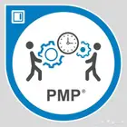 حل اختبار PMP RMP CAPM