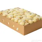 صيصان مجمده للتعليف وتغذيه الحيوانات