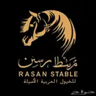 اسطبل رسن - ايواء - عسف خيل - وإعادة عسف خيل