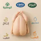 نوفر جميع انواع الدجاج باسعار جملة الجملة للشركات والمطاعم