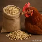 اعلاف دواجن للبيع