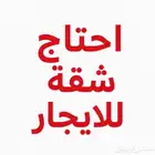 احتاج شقة للإيجار