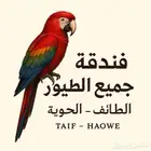 فندقة طيور بسعر رمزي جدآ