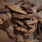 كمبودي محسن فاخر
