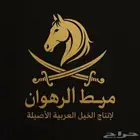 مربط الرهوان المزاحمية(الخرارة)