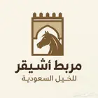 ايواء خيل - مربط خاص