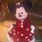 فعاليات الاطفال .مهرجه .تاجير حيوانات .الات التسالي