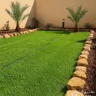 ثيل طبيعي c2000 فرنساوي