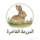 للبيع مشروع أرانب جاهز شغال مع تأجير الموقع