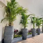 احواض فايبر احواض زراعة